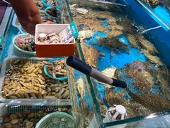 -港畔赶海蒸汽海鲜烧烤自助(仙螺岛店)