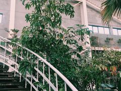 -济南植物园