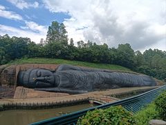 -三水森林公园
