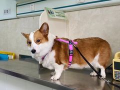 -酷宠动物医院(天通西苑店)