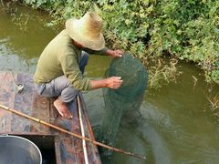 -白洋淀绿淀尚品土特产