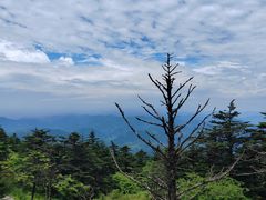 -峨眉山风景名胜区