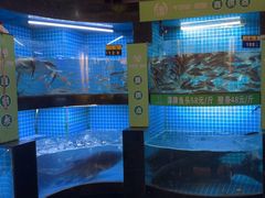 -千岛湖小鱼儿·淳安匠心农家菜