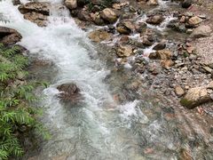 -西岭雪山大飞水景区