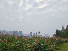 -飞来湖湿地公园