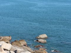 -广东惠东海龟国家级自然保护区