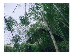 -宁波浙东大竹海景区