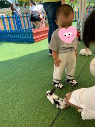 -萌宠亲子动物乐园(槐房万达店)