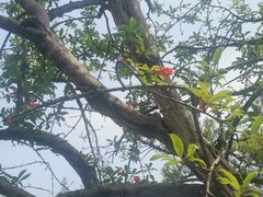 -东坡赤壁风景名胜区