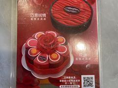 -哈根达斯(深圳海岸城店)
