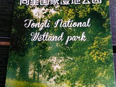 -同里国家湿地公园