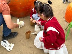 -盈香心动乐园