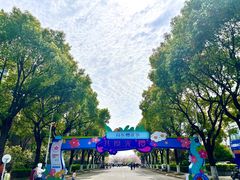 -高东镇樱花园
