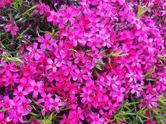 -昆嵛山石门里景区