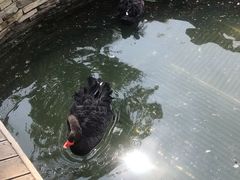 景点-南宫五洲植物乐园