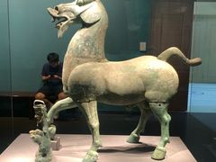 -广西壮族自治区博物馆