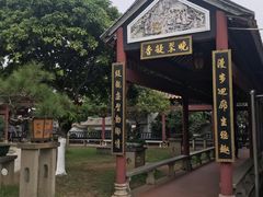 -碧江金楼