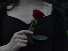 -渭滨公园