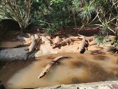 -海南热带野生动植物园