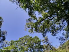 -梧桐山风景名胜区