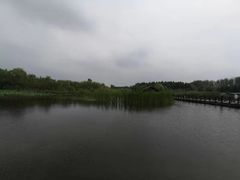 -溱湖国家湿地公园