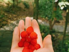 -云栖竹径