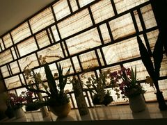 -东方之珠洗浴休闲广场(南开店)