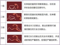 -瑞派申生动物医院·24H夜诊·国际动物医疗中心·骨外科(吴中路店)