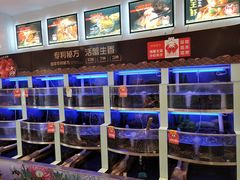 水产区-七欣天(浦东羽山乐坊店)