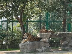 -上海野生动物园