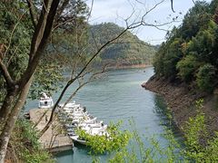-千岛湖东南湖区
