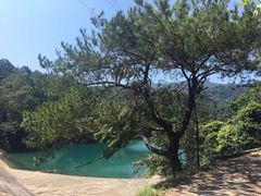 -三水森林公园
