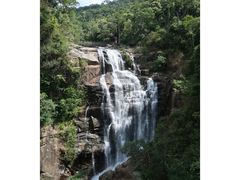 -海南热带雨林国家公园吊罗山景区