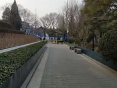 -后海公园