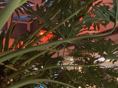 -顺峰·粤菜海鲜·早茶自助(阜成店)