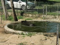 -秦皇岛野生动物园