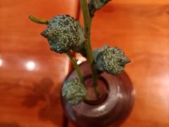 -百特喜·意大利餐厅(万达常德店)