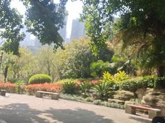 -龙头寺公园