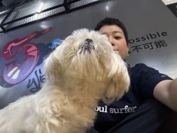 -蚂蚁造型俱乐部