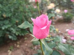 -利客来李村购物中心