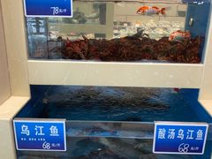水产区-双井轩(双井店)