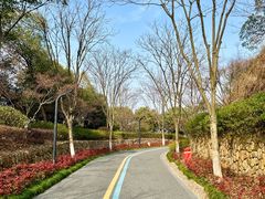-临平公园(临平街道)