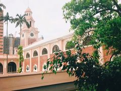 -香港大学