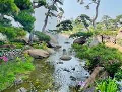 -罗红摄影艺术馆