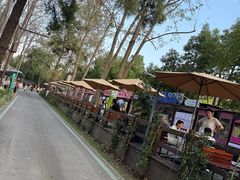 -合肥滨湖国家森林公园