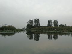 -白洋淀景区