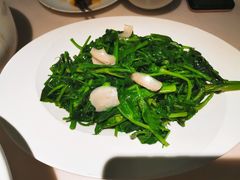 -茅庐毛血旺(临沂泰盛广场店)