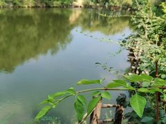 -九如山休闲旅游度假区