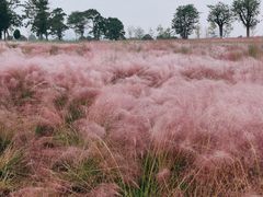 -汉长安城未央宫国家考古遗址公园