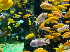 -太平洋海底世界